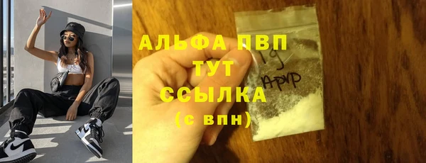 PSILOCYBIN Богданович
