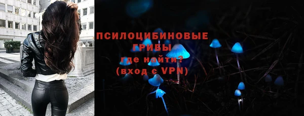 MDMA Premium VHQ Богородицк