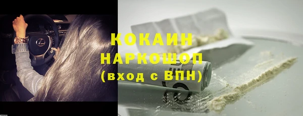 PSILOCYBIN Богданович