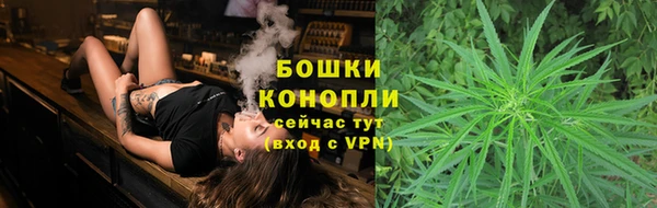 PSILOCYBIN Богданович